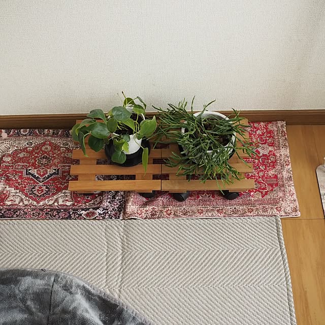 taeraさんの実例写真