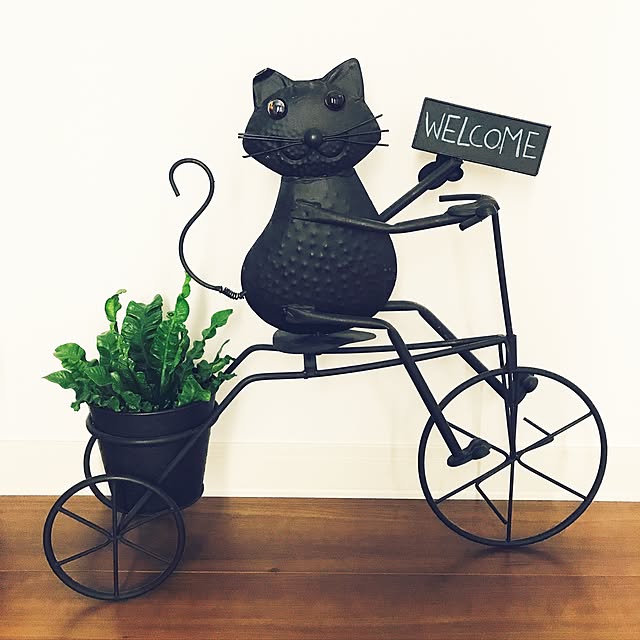 kaekaeさんの実例写真