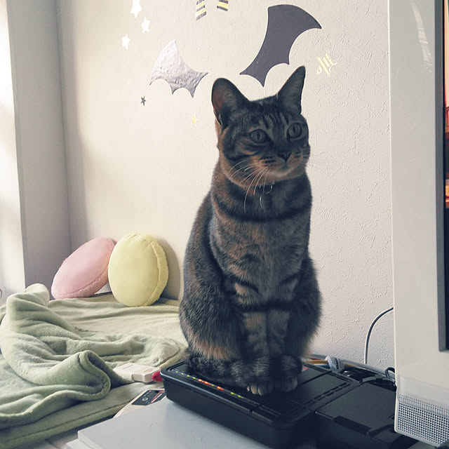 futukoさんの実例写真