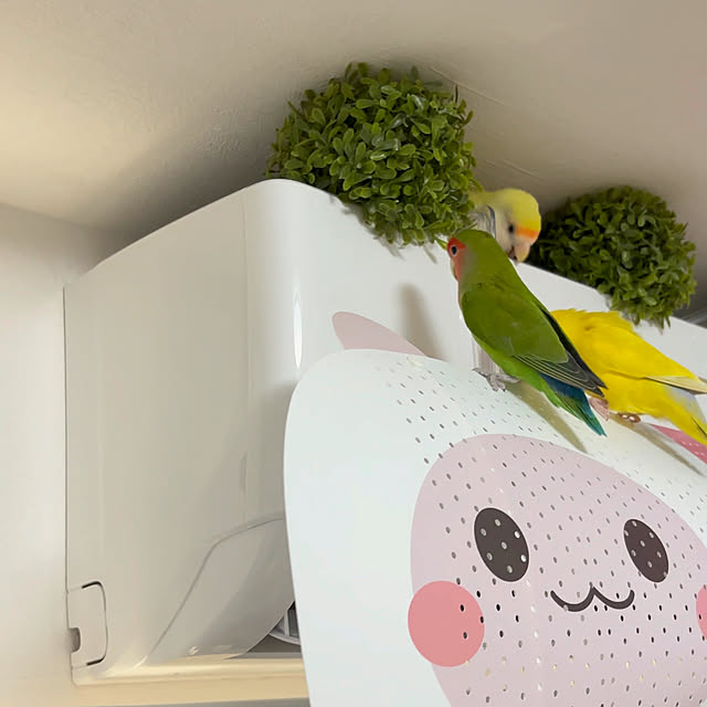 kohakuju1030さんの部屋