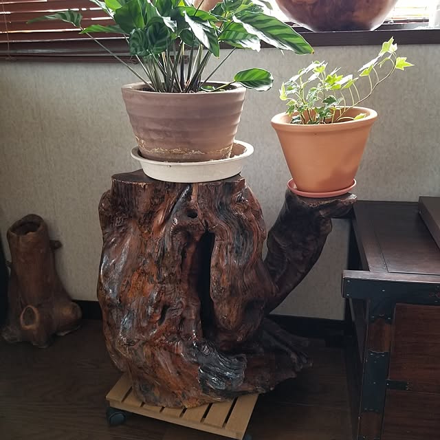 midoriさんの部屋