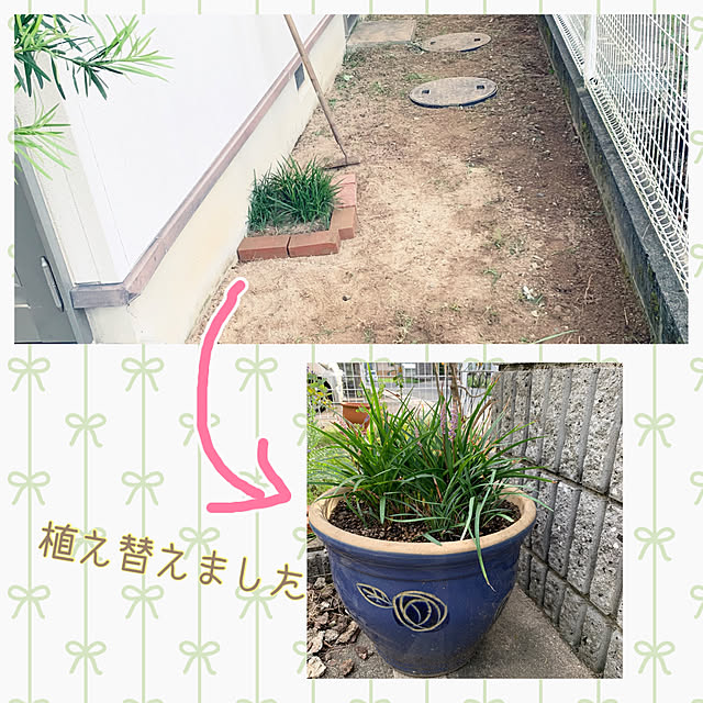 cyaroさんの実例写真