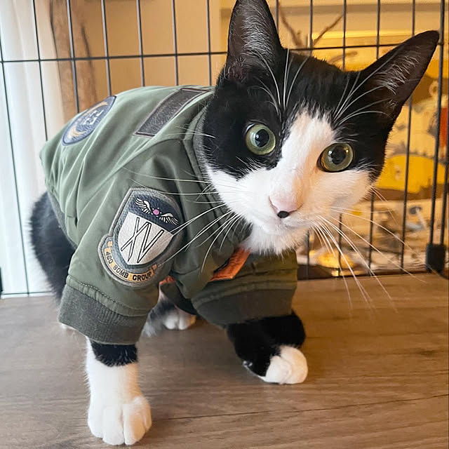 louisさんの実例写真