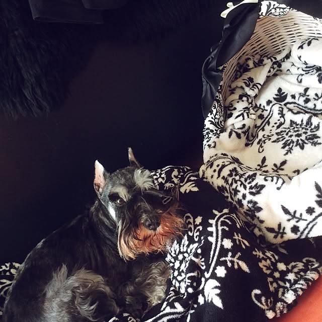Noirさんの実例写真