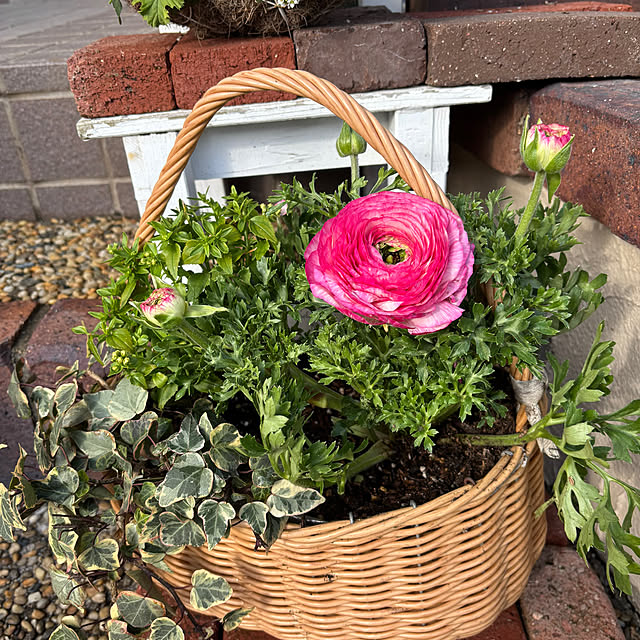 haruruさんの実例写真