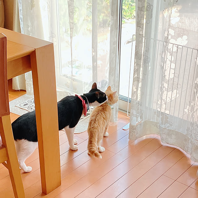 moolさんの実例写真