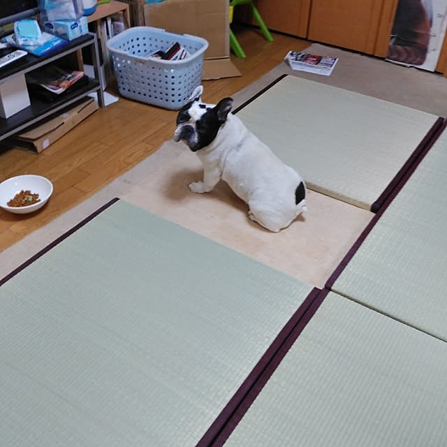 yo-sikeさんの部屋