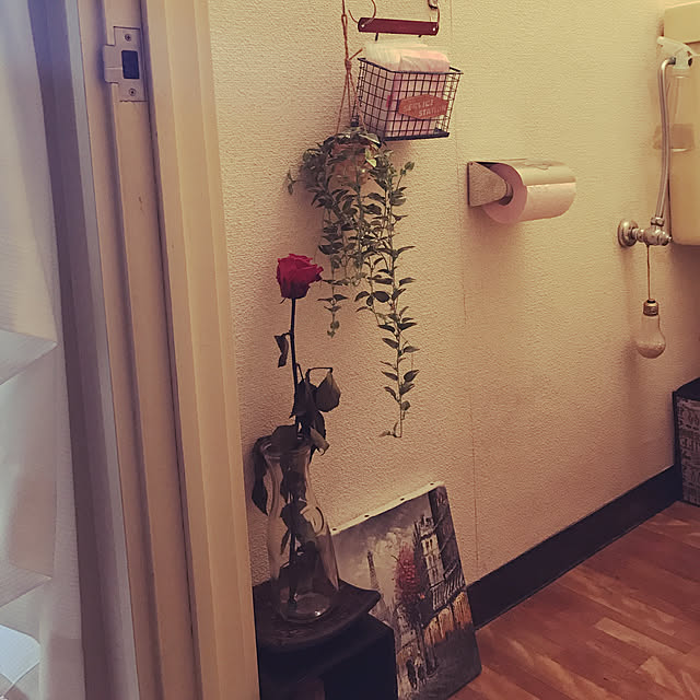 piyopiyoさんの実例写真