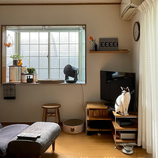 nobikoさんの部屋