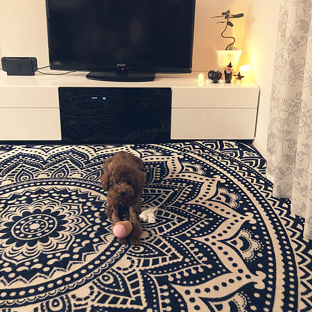 miuさんの実例写真