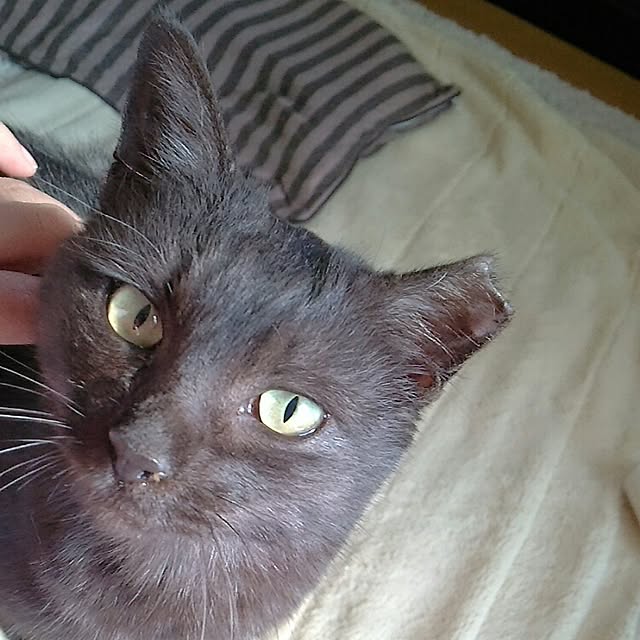 mcomcoさんの実例写真