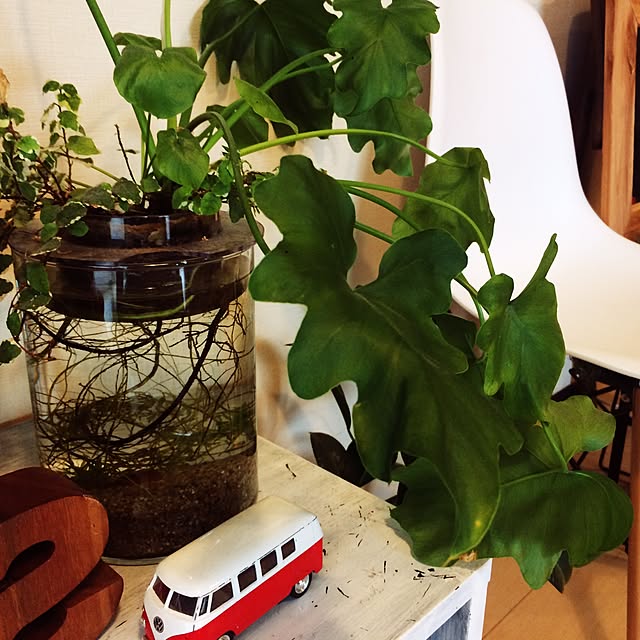 棚/ナチュラル/観葉植物/雑貨/カフェ風...などのインテリア実例 - 2017-06-14 07:03:30