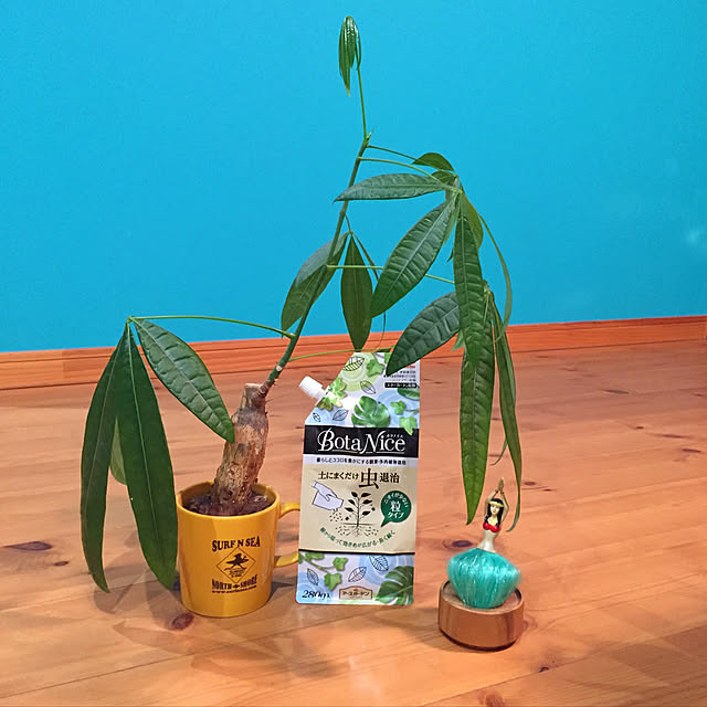 ishiikeさんの実例写真