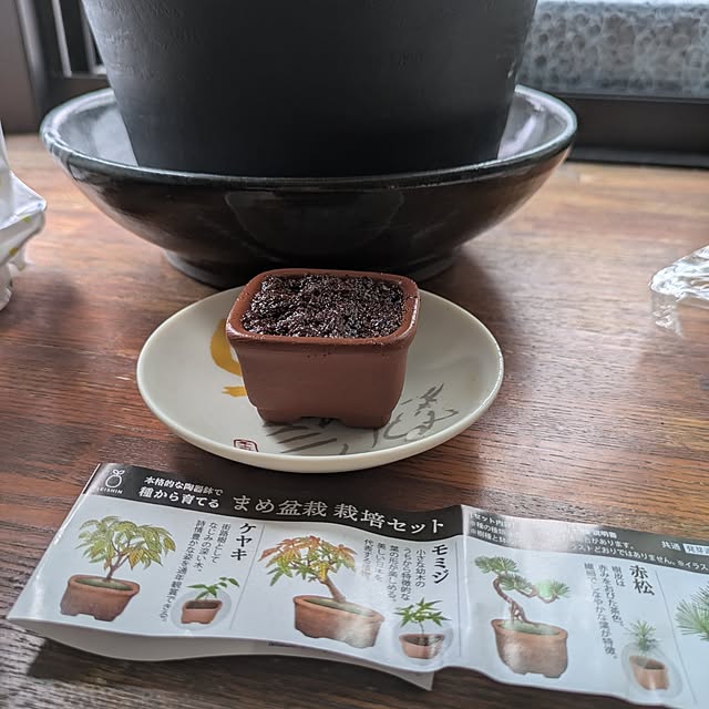 komegaskiiiiさんの実例写真