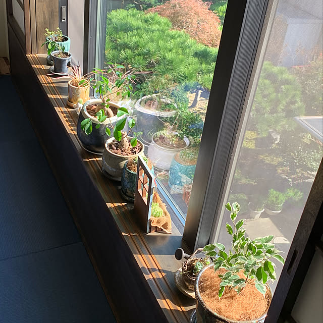 Tomokoさんの実例写真