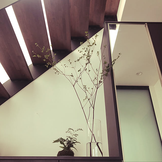 観葉植物/玄関/入り口のインテリア実例 - 2021-08-24 11:02:35