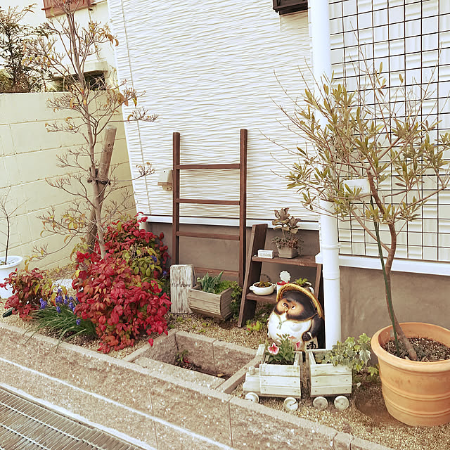 mamemamさんの実例写真