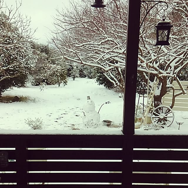 satomiさんの実例写真