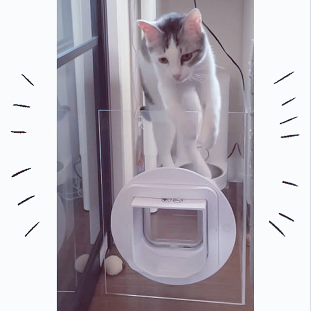 yakimuraさんの実例写真