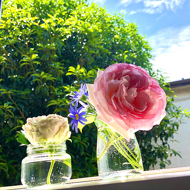 eripomeさんの実例写真