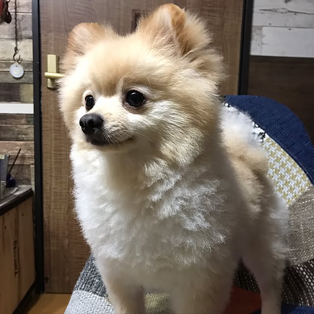 franさんの実例写真