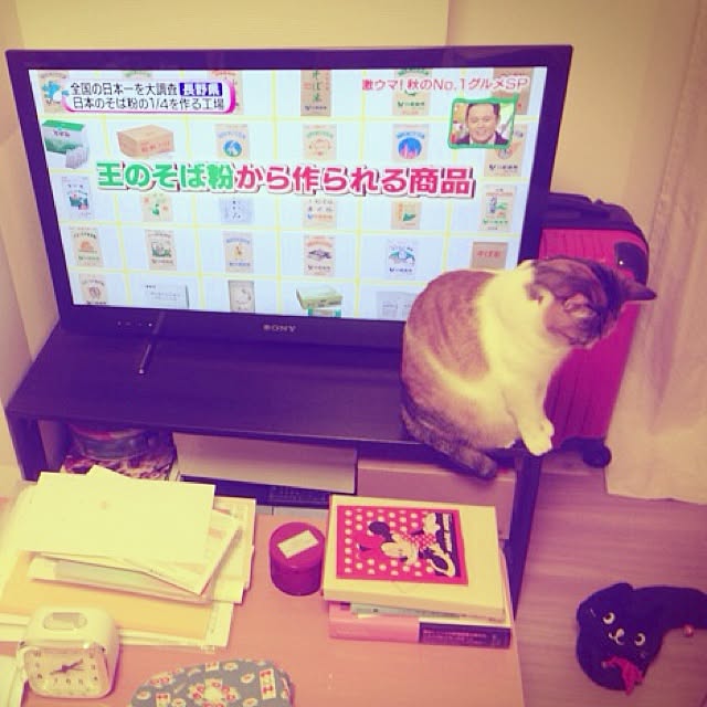 meriiさんの実例写真