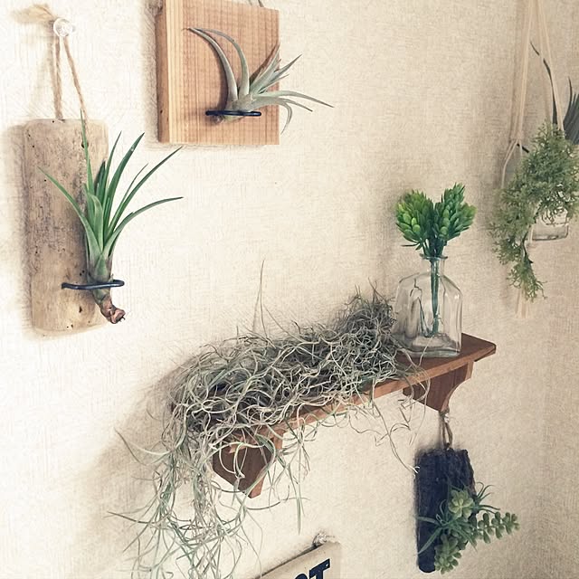 na0320さんの実例写真