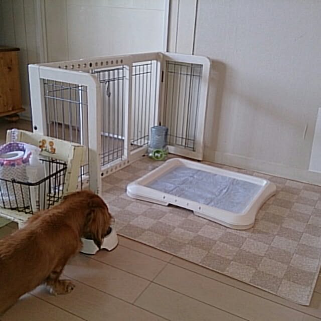 TOMOさんの実例写真
