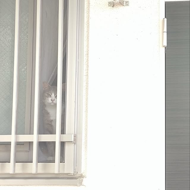 Yoko622さんの実例写真