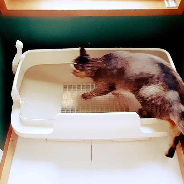 meguさんの部屋