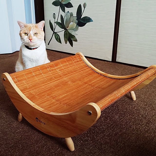 kobakissaさんの実例写真