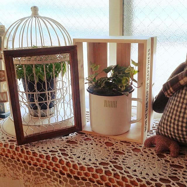 383junkさんの実例写真