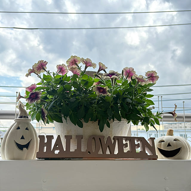 emiさんの実例写真