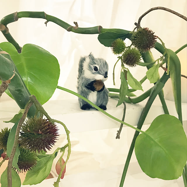 earlさんの実例写真