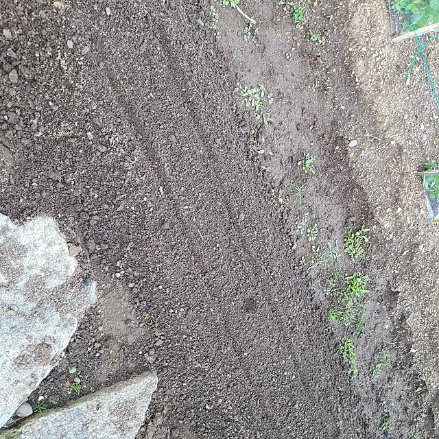 Rubiconさんの部屋