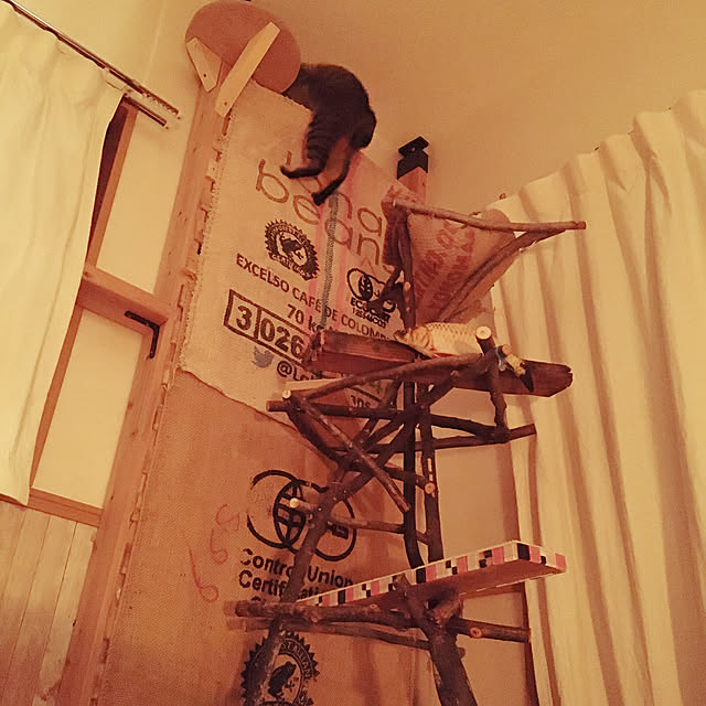 Mさんの実例写真