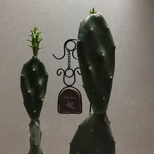 CoffeeHouseさんの実例写真