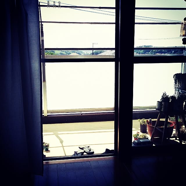 shieさんの実例写真