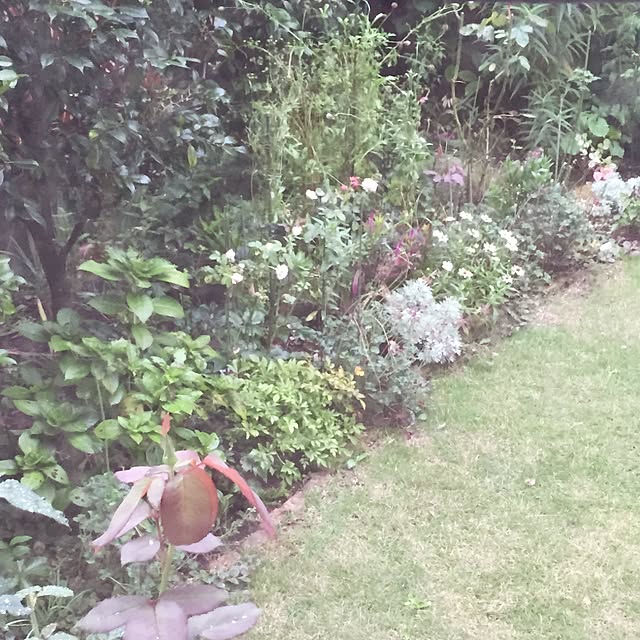 happygardenさんの実例写真