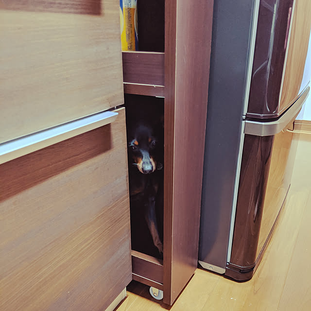 shizuponさんの実例写真