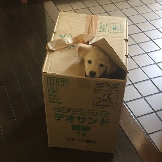 mtkさんの実例写真