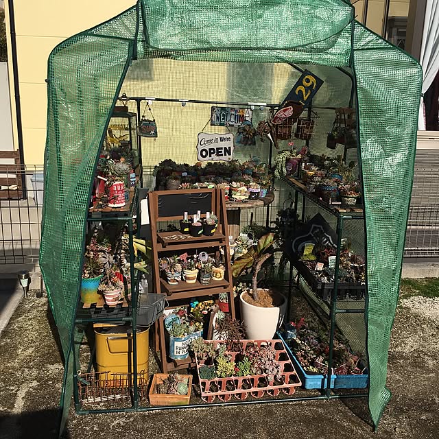 bon-bon-hippieさんの実例写真