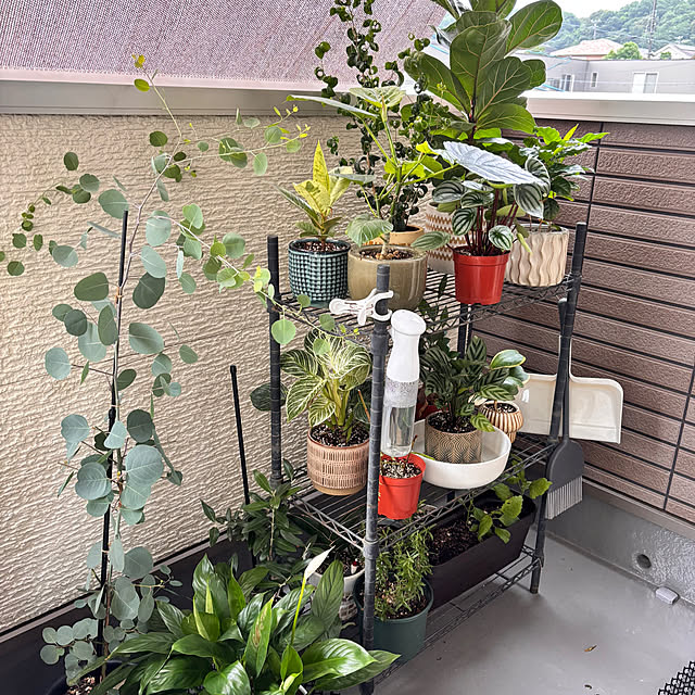 chisaiさんの実例写真