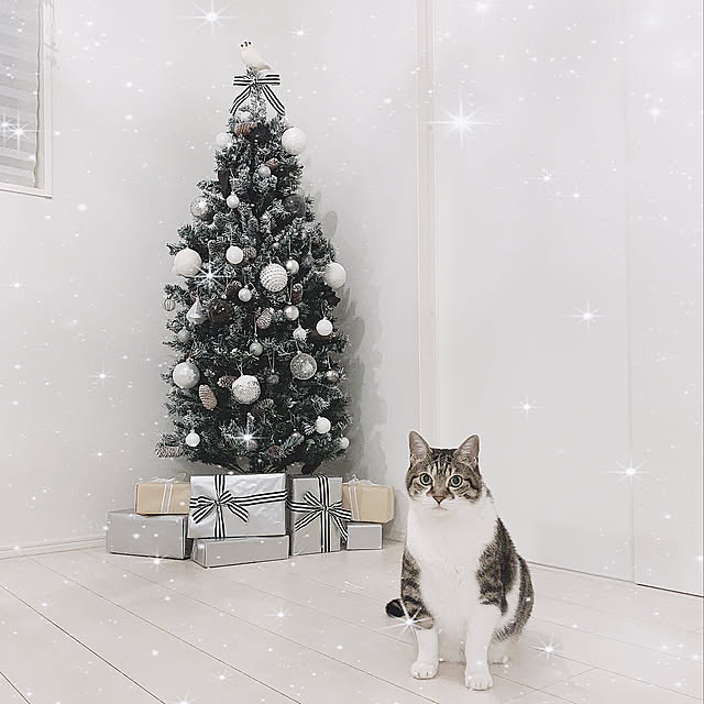 koronyaさんの実例写真