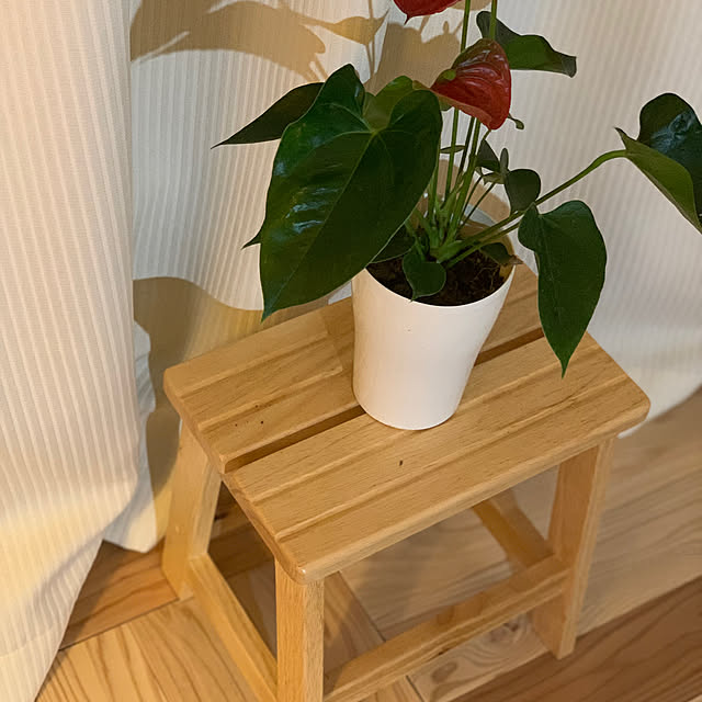 hironoさんの実例写真