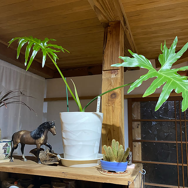 keikoさんの実例写真