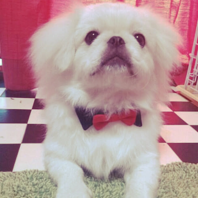 TOMOKAさんの実例写真