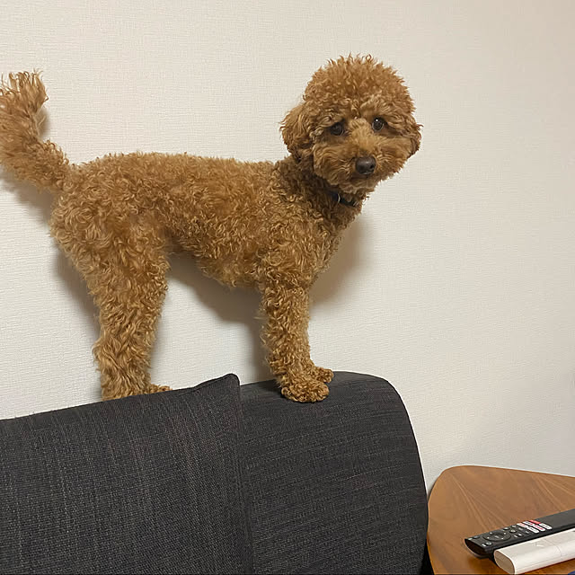 Hiromiさんの実例写真
