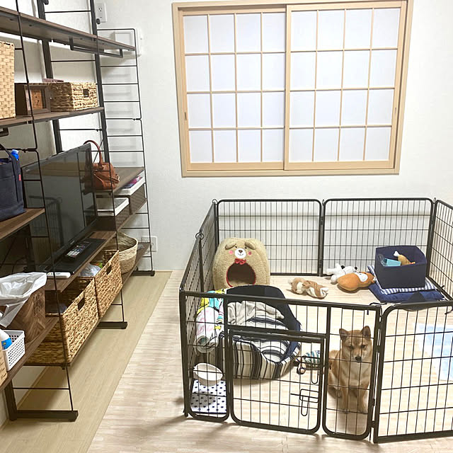 shishiさんの実例写真
