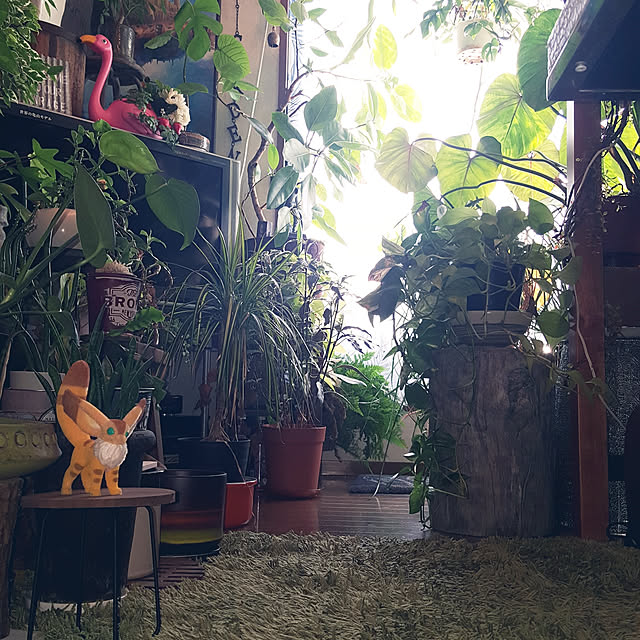 GreenHomeさんの実例写真